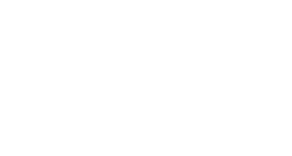 Pandolci artigianali del Lido di Genova - Shop on-line